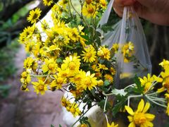 -金堂县云顶石城风景区