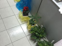 -龙大花卉苗木市场