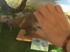 -下渚湖国家湿地公园科普馆