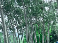 -麓湖高尔夫球俱乐部