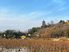 -观音山