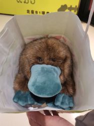 -Nuzzle(静安大悦城店)