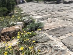 -司马台长城