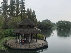 -西院1号(龙井店)