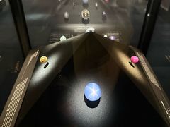 -美国自然历史博物馆