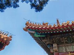 -故宫博物院(故宫)