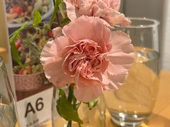 -Makumo·卷云家庭料理餐厅(美糖广场店)