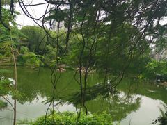 -青青世界