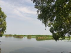 -洪湖生态旅游区