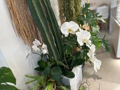 -AHAVA·Fang Baking Studio