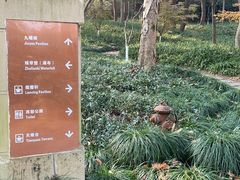 -九曜山