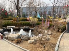 -南宫五洲植物乐园