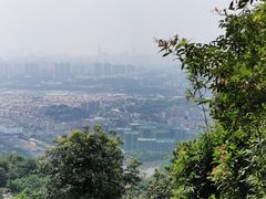 -火炉山森林公园