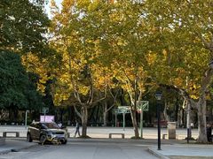 -安徽大学(龙河校区)
