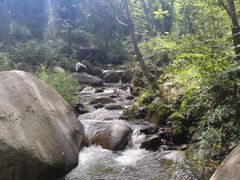 -云岫谷游猎自然风景区