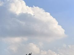 -优托邦(长兴路店)