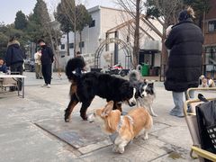 -小意思咖啡店(草桥店)