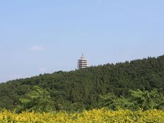-原山国家森林公园