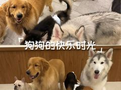 -工联CC