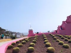 -漳州滨海火山岛自然生态风景区