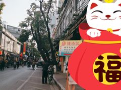 -陈添記·祖傳爽鱼皮·西关老字号(广州首店)