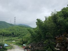-宁波浙东大竹海景区
