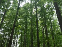 -南京金牛湖风景区