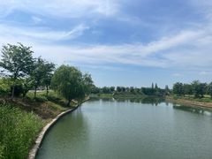 -同里国家湿地公园