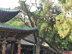 -晋祠公园