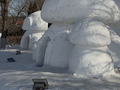 -沈阳奥体冰雪嘉年华
