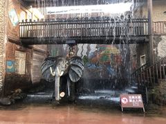 -呀路古热带植物园
