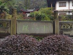 -十八棵（老龙井）御茶园(老龙井店)