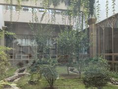 -北京德尔康尼骨科医院