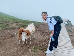 -灵山