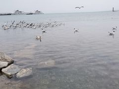 -青海湖二郎剑景区