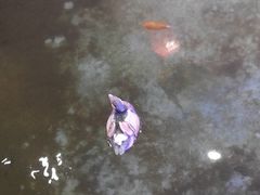 -无名居(西直门总店)