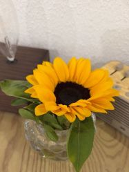 -薇薇安花系SPA