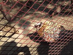 iphone_upload_pic-昆山城市生态森林公园