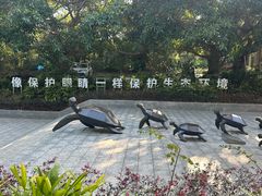 -广东惠东海龟国家级自然保护区