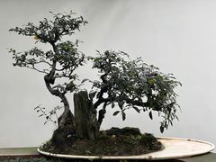 -成都杜甫草堂博物馆
