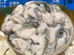 牡蛎-海派美食·家宴海鲜青岛菜·石锅鲽鱼头(东方城店)