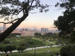 -红花山公园