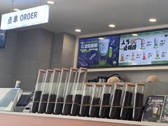 -雾与山茶(大禹城店)