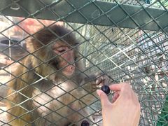 -水上乐园·欢乐世界