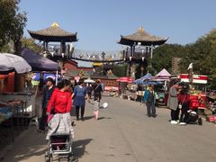 -呀路古热带植物园