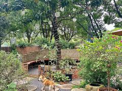 -谷咖啡·鲜花绿植花园餐厅