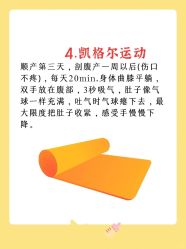 -海豚湾高端月子会所(黄浦店)