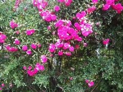 -成都工业学院(郫都校区)