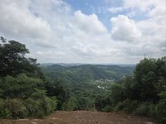 -桃花岭景区