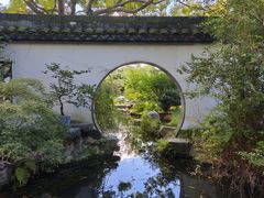 -上海醉白池公园